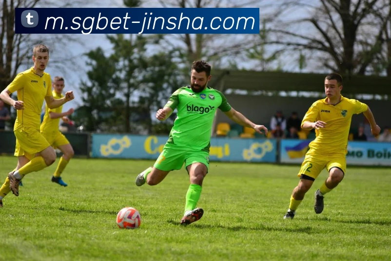 金沙娱乐城平台生态图