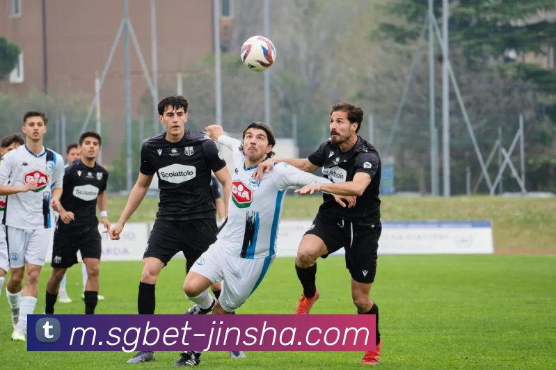 金沙娱乐城全站App 金沙娱乐城全站App