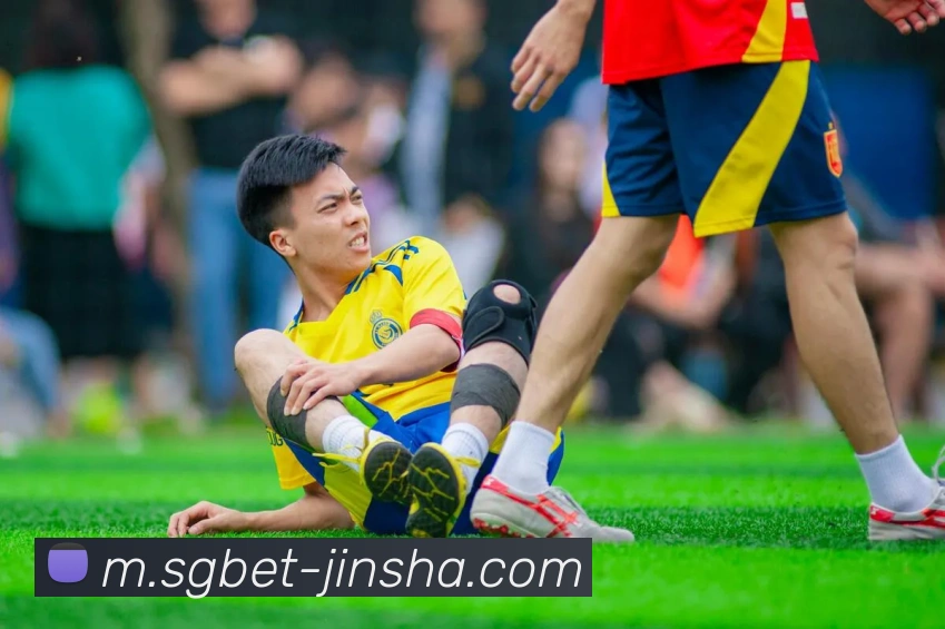 辅助工具 辅助工具